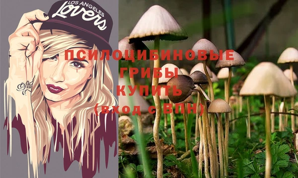 трава Абинск
